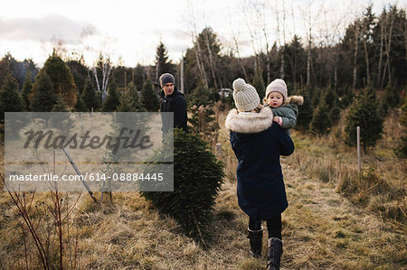Parents and baby girl in Christmas tree farm, Cobourg, Ontario, Canada