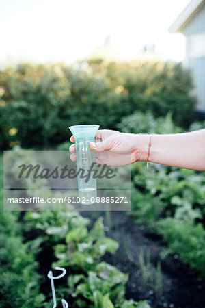 Hand with rain gauge