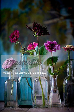 Flowers in bottles