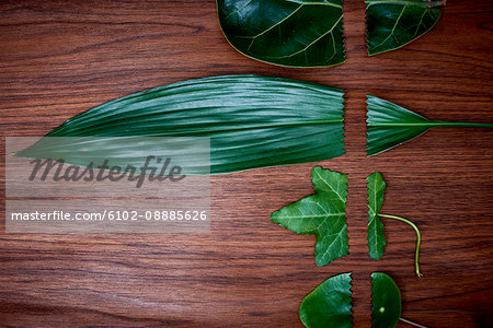 Leaves on wooden background