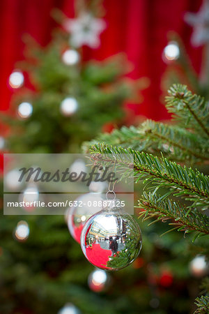 Ornaments hanging on christmas tree Ornaments hanging on christmas tree