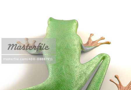 red eyed tree frog from tropical rainforest of Costa Rica isolated on white. Beautiful green and blue treefrog is an exotic animal from the rain forest. 3d render