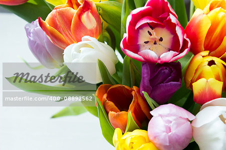 Mix of tulips flowers near the window. macro