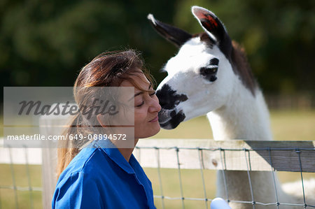 Farm worker being kissed by llama
