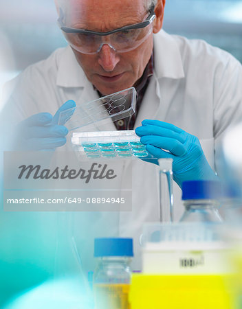 Biotechnology Research, scientist viewing samples in a multi well plate during an experiment in the laboratory