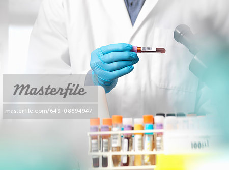 Scientist checking blood sample information ready for clinical testing in a laboratory Scientist checking blood sample information ready for clinical testing in a laboratory