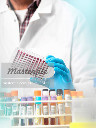 Scientist preparing blood samples in a multi well plate for clinical testing in a laboratory