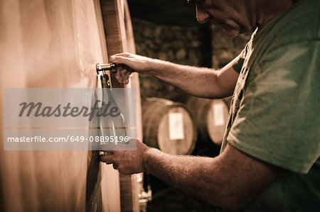 Winemaker filling wine bottle from cellar barrel
