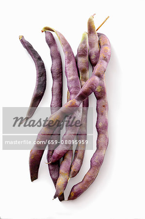 Purple beans