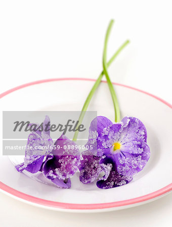 Candied violets