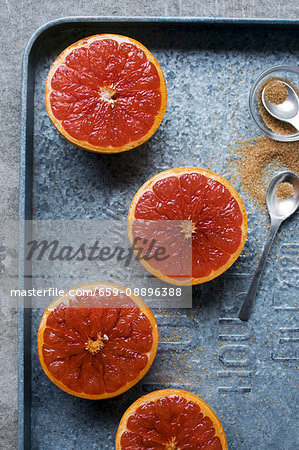 Grapefruit Brulee