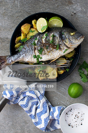 Roasted Dorada