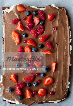 Fresh summerberrys on chocolate mousse cake bottom