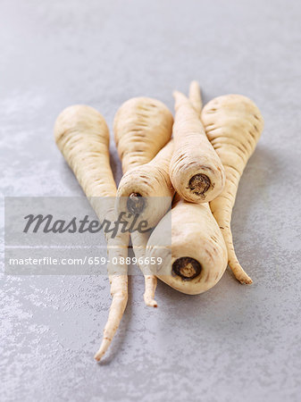 Whole Parsnips on a Dish Whole Parsnips on a Dish