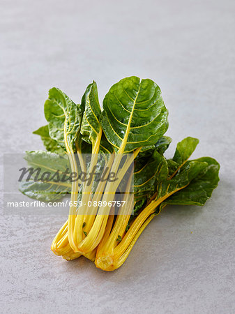 Fresh, yellow-stemmed chard on a grey background Fresh, yellow-stemmed chard on a grey background