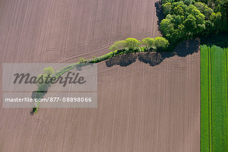 France, Landscape with plowed fields and tree alignment, aerial view