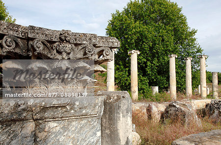 Turkey, province of Aydin (area of Denizli), Geyre, archeological site of Aphrodisias, the agora