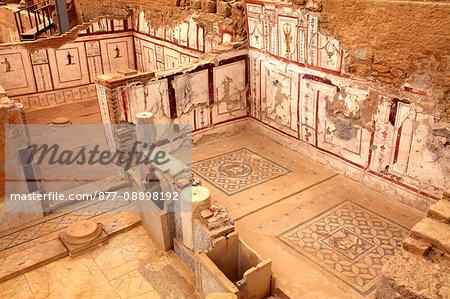 Turkey, province of Izmir, Selcuk, archeological site of Ephesus, the Terrace Houses