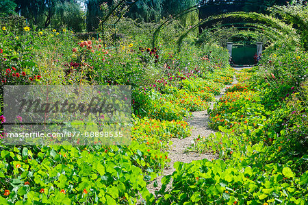 France, Normandy, Eure. Giverny. Garden of Claude Monet's house.