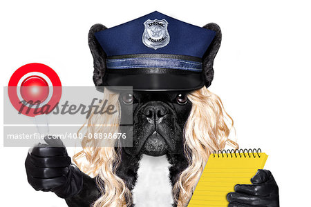 policewoman dog ON DUTY WITH ticket fine and stop sign isolated on white blank background wearing a blonde funny wig