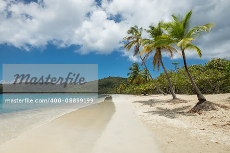 The amazing Magens bay beach in St. Thomas US virgin islands in the Caribbean sea