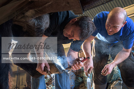 Farriers fitting horse with horseshoes