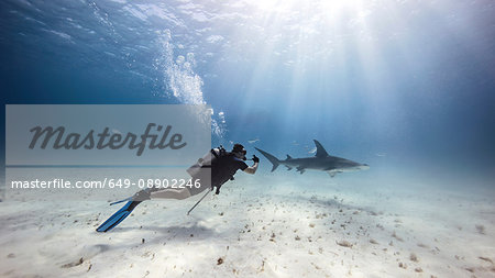 Underwater view of male diver watching shark near seabed