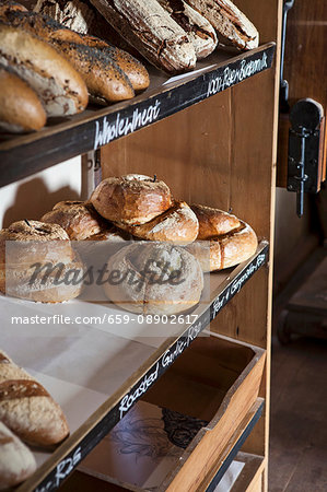 Various loaves of bread and rolls on a shelf in a bakery