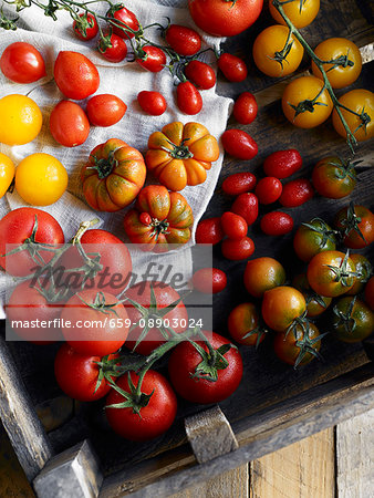 Various types of tomatoes in a wooden crate