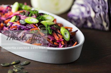 Red cabbage salad with carrots, fennel, pumpkin seeds and spring onions