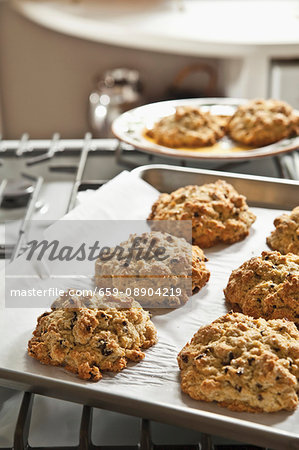 Cookies on a baking tray