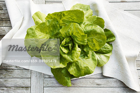 Oak leaf lettuce (topic: light suppers) Oak leaf lettuce (topic: light suppers)