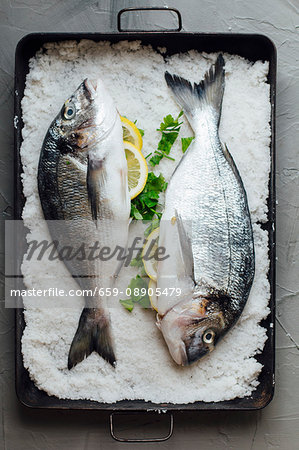 Two raw gilt-head bream in a bed of salt (seen from above)