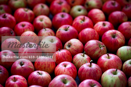 Many Assorted Red Apples