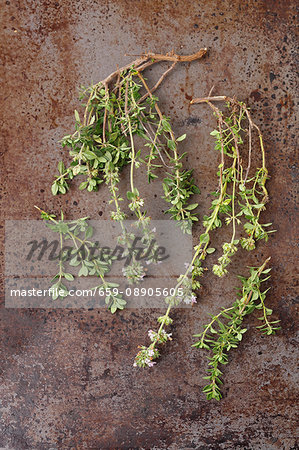 Fresh sprigs of thyme with flowers on a metal surface