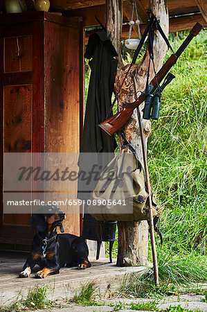 A hound, backpack, gun and pair of binoculars in front of a hunting lodge