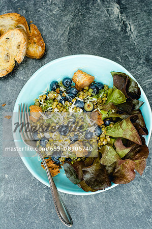 Mung bean salad with croutons and blueberries