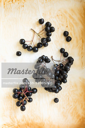 Lots of aronia berries on used baking paper