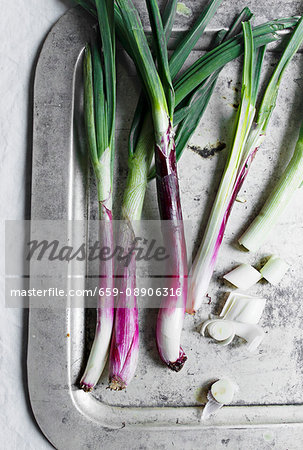 Spring onions on a silver tray Spring onions on a silver tray