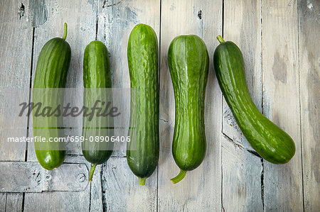 Five mini cucumbers in a row