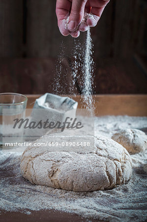 Unbaked wholemeal bread being dusted with flour