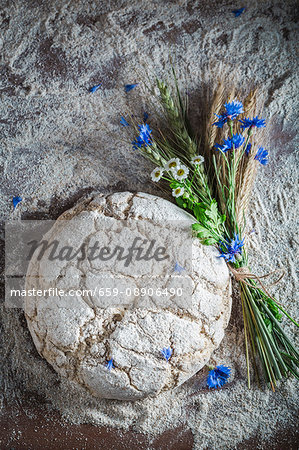 Unbaked bread with flour and ears of corn Unbaked bread with flour and ears of corn