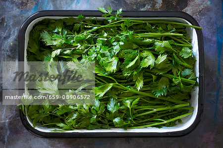 Fresh parsley in an enamel dish