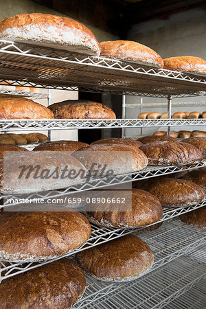 Assorted loaves of bread on metal shelves in a bakery