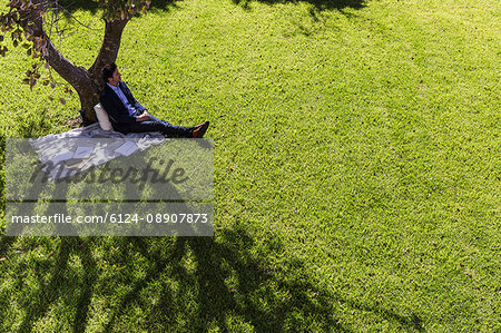 Serene businessman relaxing on blanket below tree in sunny park