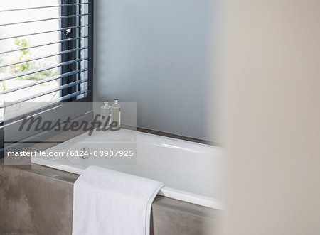 Home showcase interior bathtub