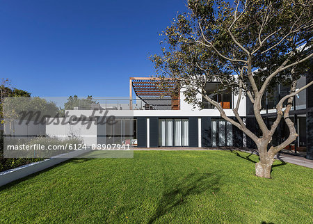 Sunny modern, luxury home showcase exterior with tree