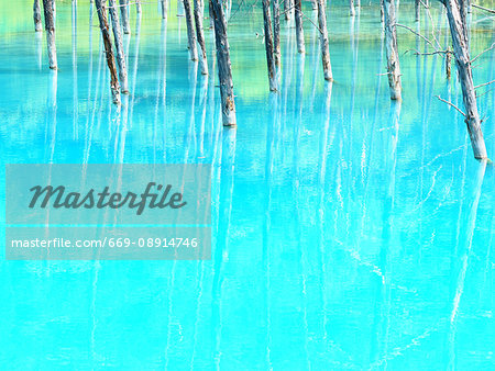 Blue pond Blue pond
