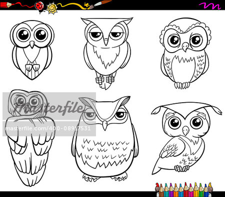 Black and White Cartoon Illustration of Owl Birds Animal Characters Set Coloring Page