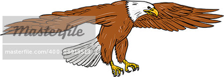 Drawing sketch style illustration of bald eagle swooping wings flapping viewed from the side set on isolated white background.